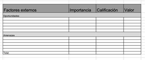 Qué es una matriz EFE cómo se realiza y ejemplos