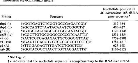 Rna Nucleotide Sequence