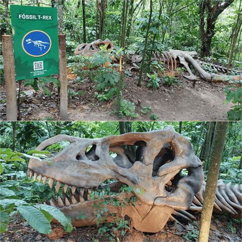 Visita Ao Parque Dos Dinossauros De Miguel Pereira