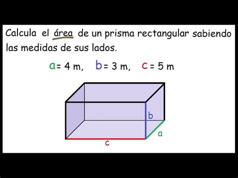 Rea Prisma Rectangular Calcula F Cilmente Con Esta Gu A Polinomios