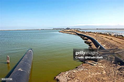 Dumbarton Rail Bridge Photos and Premium High Res Pictures - Getty Images