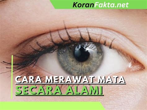 5 Cara Merawat Mata Secara Alami Yang Wajib Anda Ketahui