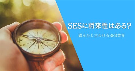 Sesに将来性はある？優秀な人ほど市場の動向から未来のキャリアをつかむ！ インフラの星