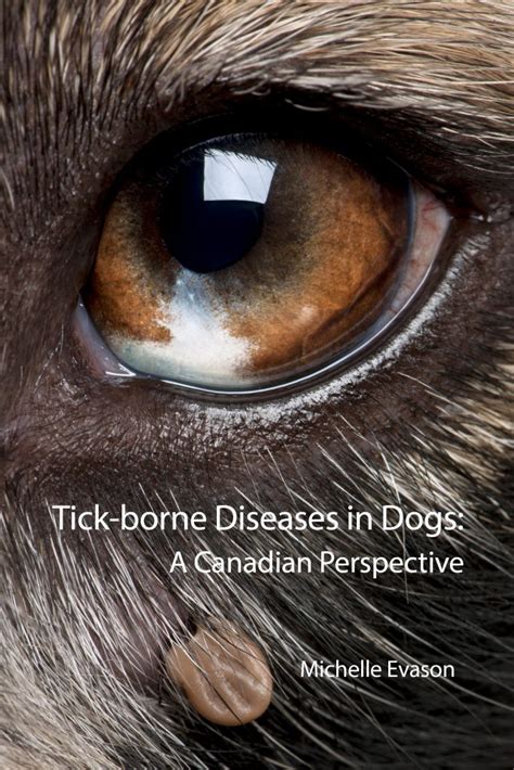 Tick-borne Diseases in Dogs | Island Studies Press