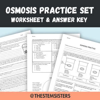 Osmosis Practice Set Worksheet And Answer Key By The Stem Sisters