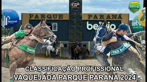 CLASSIFICAÇÃO PROFISSIONAL VAQUEJADA PARQUE PARANÁ VAQUEJADA AO