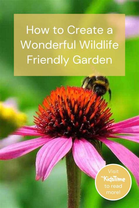 How To Create A Wonderful Wildlife Friendly Garden