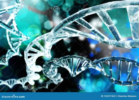 Chromosomen Und DNA Stock Abbildung Illustration Von Menschlich