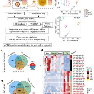 Correlation Analysis Between Mirna And Mrna Expression Changes In