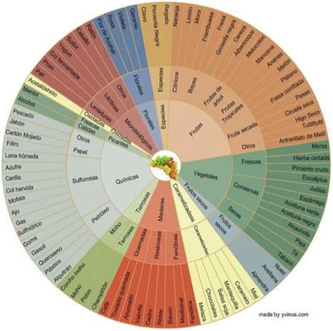 Aromas Del Vino Clasificación De Los Aromas Del Vino