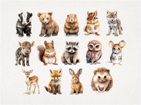 Woodland Cute Animals Cartoon Watercolor Clipart PNG Bundle. Children ...