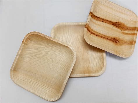 Buy Disposable Plates Areca Palm Leaf Plates 7 Inch Square Eco Friendly