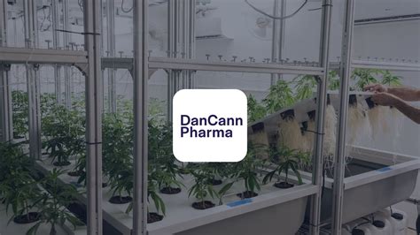 DanCann Pharma Politiske rammevilkår for medicinals cannabis i