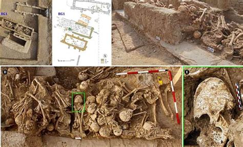 Unearthed 6,200-Year-Old Girl's Skull Reveals Shocking Secret About ...