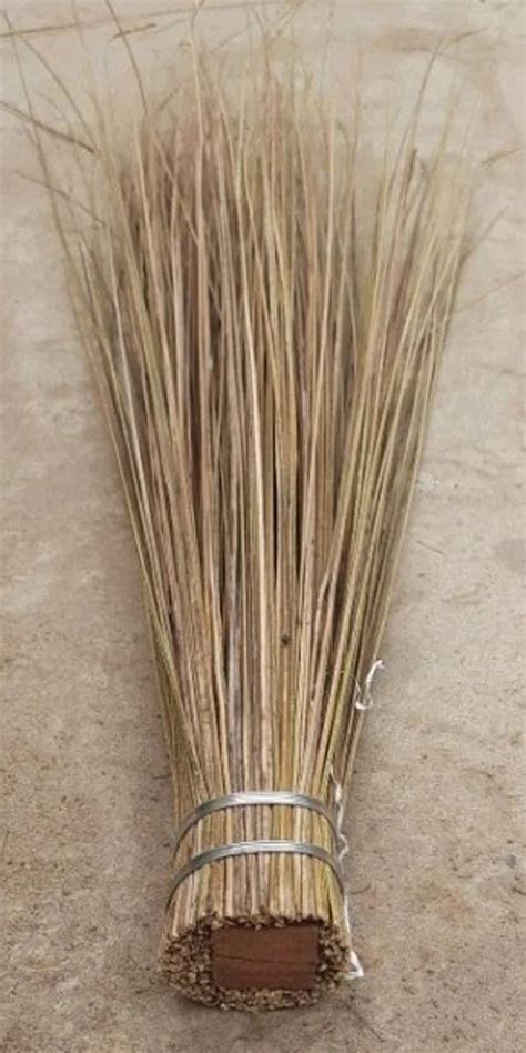 2T SPL Nariyal Jhadu Coconut Stick At Rs 55 Piece In Muzaffarpur ID