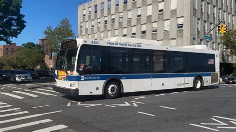 MTA Bus Q64 QM4 Bus Action At Jewel Avenue Paraons Blvd YouTube