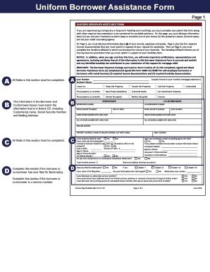 Fillable Online Uniform Borrower Assistance Form Spservicing Fax