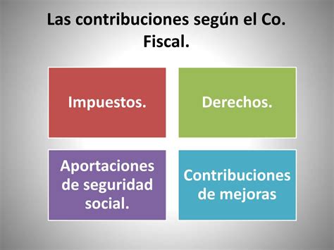 Cuáles Son Los Tipos De Contribuciones En Materia Fiscal Hot Sex Picture