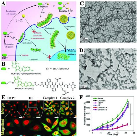 A Schematic Illustration For Preparation Of Dual Drug Assemblies And