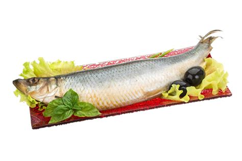 Salted Herring on white 12904210 Stock Photo at Vecteezy