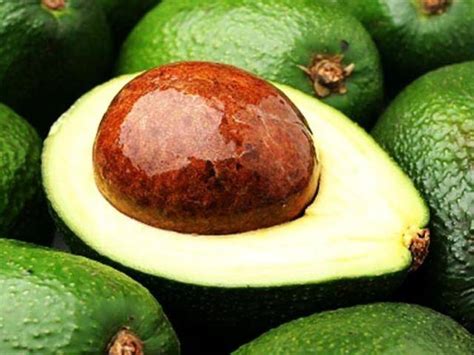 13 Health Benefits Of Avocado Eating Enlightenment