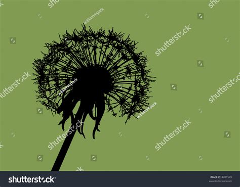 Dandelion Clock Stock Vector Illustration 4201549 : Shutterstock