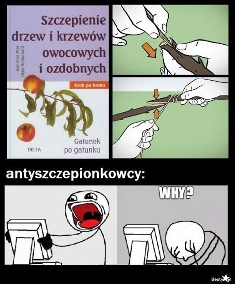 Najlepsze Memy O Antyszczepionkowcach Internauci Ob Miewaj Teorie