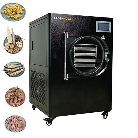 Lab Use Vacuum Freeze Dryer Fruit Vegetable Insect Flower Tea