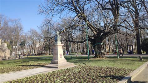 Povestea Teiului Lui Eminescu Din Parcul Copou TeleBuzz