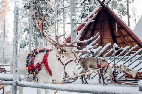 Weihnachtsmanndorf In Lappland Lohnt Es Sich