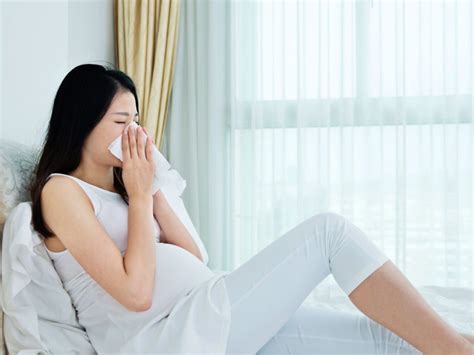 Tips Para Quitar La Congestion Nasal En El Embarazo Parasubebe