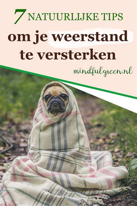 Met Deze Simpele Truc Kom Jij Van Je Stress Af Artofit