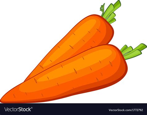 Carrot Royalty Free Vector Image Vectorstock