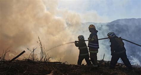 Santa Juana En Alerta Por Anticipación De La Temporada De Incendios