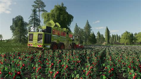 Old Kiwi Farm For Fs Farming Simulator Mod Ls