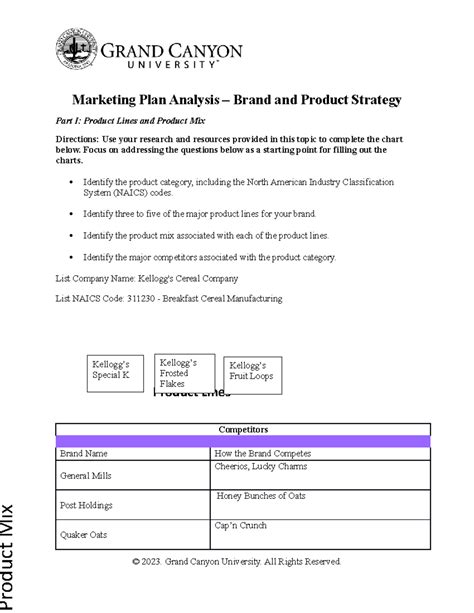 Mkt Rs T Marketing Plan Analysis Brand And Product Marketing