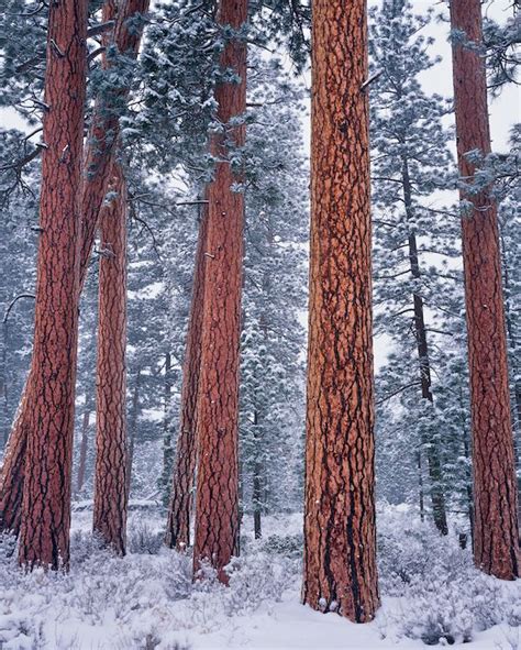 Central Oregon Fine Art Landscape Photography Archives - Mike Putnam ...