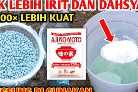 Sendok Npk Bisa Untuk Ribuan Pohon Begini Cara Membuat Pupuk Npk