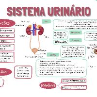 MAPA MENTAL SIMPLIFICADO DO SISTEMA URINÁRIO Aposte confiança e