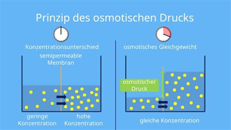 Osmotischer Druck Einfach Erkl Rt Definition Berechnung Mit Video