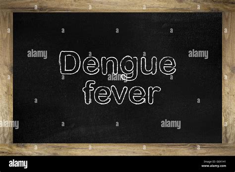 Dengue Fever Fotos Und Bildmaterial In Hoher Aufl Sung Alamy