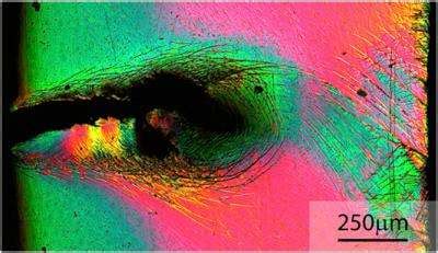 Overcoming brittleness: New insights into bulk metallic glass