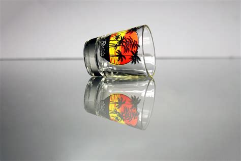 Souvenir Shot Glass Florida Sunset With Palm Trees Clear Glass Pryo Glazed Collectible Barware