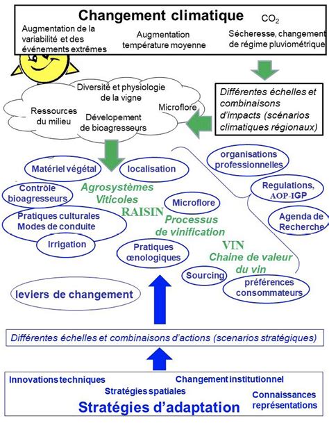 Adaptation Au Changement Climatique Pour La Vigne Et Le Vin Une