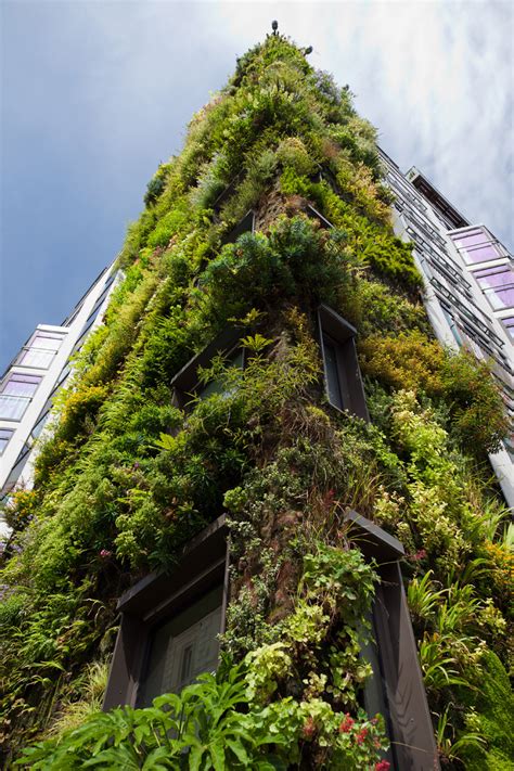 Green Living Wall Free Stock Photo - Public Domain Pictures