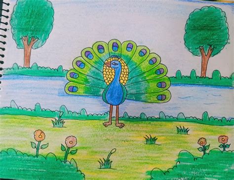 peacock dancing in the rain drawing - wallpaperkoreangirldownload