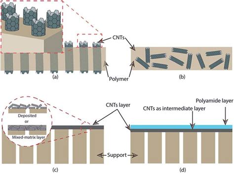 Cnt Membranes With Various Structures A Vertically Aligned Cnt Download Scientific Diagram