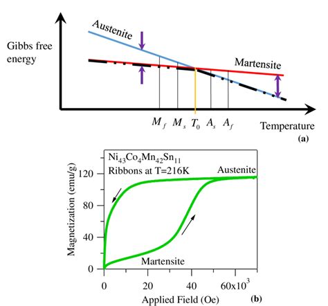 A The Gibbs Free Energy Of Meta Magnetic Shape Memory Alloys During A