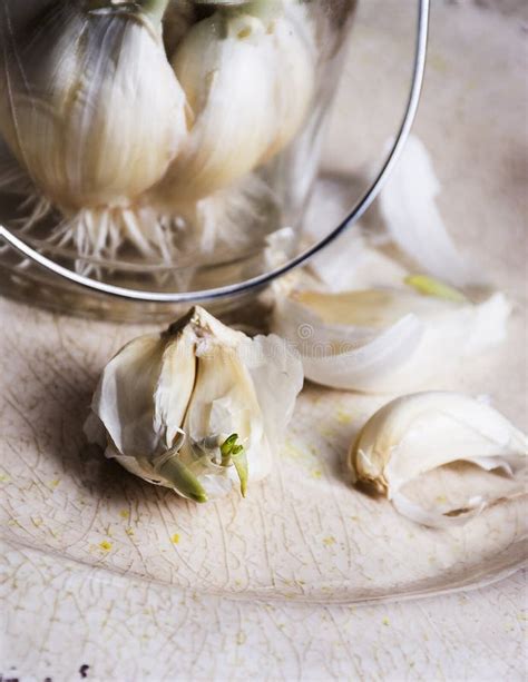 Garlic Garlic Cloves And Bulb In Glass Jar Concept Of Healthy Food