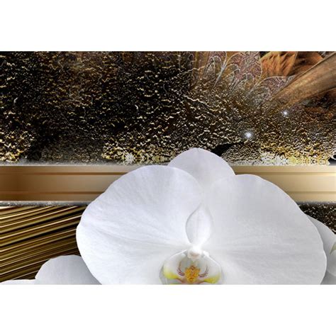 Wandbild The Dream Of A Orchids Orchideen Blumen Wandbilder